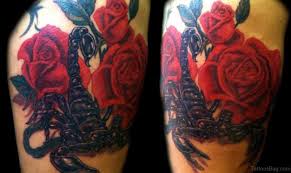 Maybe you would like to learn more about one of these? 51 Elegant Scorpion Tattoos On Shoulder