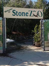 Stoneham Is Lucky To Have The Stone Zoo In Their Backyard 149 Pond St Www Zoonewengland Org Stone Zoo Backyard Stone Pond