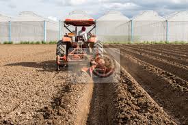 Trator Preparo Do Solo Trabalhando Na Agricultura Campo Fotomural Fotomurais Arar Grade Aravel Myloview Com Br