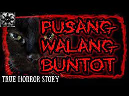 480 x 360 jpeg 33kb. Pusang Walang Buntot Engkwentro Sa Isang Aswang Kwentong Aswang True Story Youtube