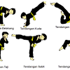 Salah satu serangan dengan kaki disebut : Https Encrypted Tbn0 Gstatic Com Images Q Tbn And9gcrqdef9mxnpznngmkmxlwku9jjjvhr Rj7oh3ccib1sjg 1mcxm Usqp Cau