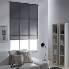 Store Enrouleur Tamisant Polyester Mesh Gris 80 84 X 250 Cm Blinds Roller Blinds Bathroom Window Coverings