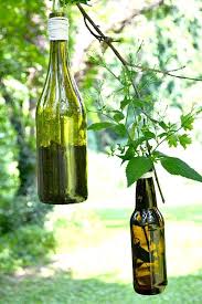 Maybe you would like to learn more about one of these? Super Cute And Easy Craft For Your Plants Wine Bottle Planter Plants In Bottles Wine Bottle Diy