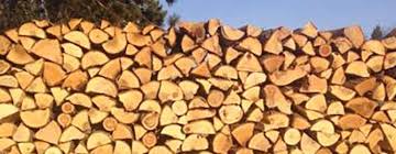 Anywhere they're building a new home or business. Which Wood Is Best For Firewood Tips For Eco Friendly Heat Ecohome