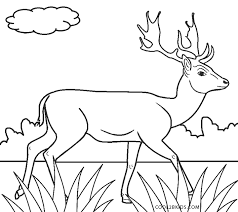 Almost all deer have antlers only if they are male. Free Printable Deer Coloring Pages For Kids Cool2bkids