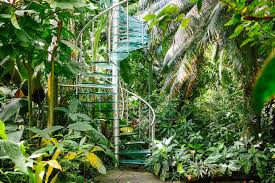 Location Basel Botanical Garden