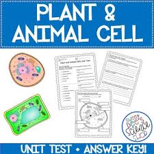 Check spelling or type a new query. Plant And Animal Cell Test Worksheets Teaching Resources Tpt