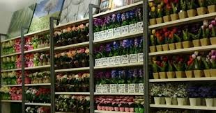 From the use of washi paper to a symbolic leaf. Cawangan Kaison Malaysia