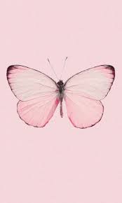 See more ideas about bts, bts laptop wallpaper, bts bangtan boy. Butterfly Aesthetic Wallpaper Pink Novocom Top