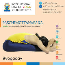 Asana Yoga Paschimottanasana Yoga Day Stress Relief Asana