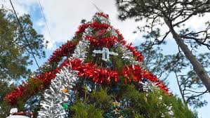 Got a reason to celebrate? Christmas Florida Is Not As Merry As Its Name Sounds But There S Joy There