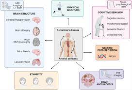 Frontiers Inflammation Nitro Oxidative Stress Impaired Autophagy And Insulin Resistance As A Mechanistic Convergence Between Arterial Stiffness And Alzheimer S Disease Molecular Biosciences