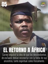 PelaGatos Reggae added a new photo.