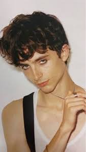 Discover 76 Timothee ideas