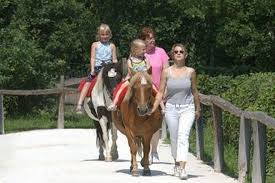 Barbecue areas and huts can only be booked timely in advance via telephone. á… Freizeitpark Lochmuhle In Wehrheim Offnungszeiten