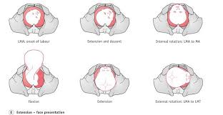 Image result for Face Presentation