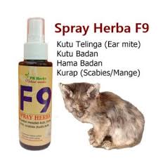 Ubat selsema kucing di farmasi. Ps Herbs Hq Set Ubat Sporo Kucing Anjing Shopee Malaysia