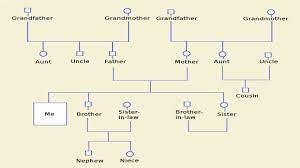 Once you have completed the genogram, study it to identify patterns. How To Make A Genogram Using Microsoft Word Tech Spirited