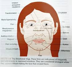 Image Result For Face Reading In Chinese Medicine Chinese