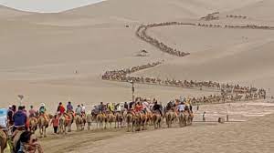 This is because the camel can drink 25 gallons of water which can last it for a long time. Highlights Along The Silk Road Journey Of A Lifetime My Family Travels