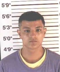 Deputies arrest 2nd teen in Wahneta armed robbery case