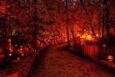 Minnesota S Glowing Pumpkin Trail Is A Great Way To Celebrate Fall Jack O Lantern Spectacular Halloween Fall Travel