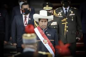 Dorfschullehrer Pedro Castillo Als Prasident Perus Vereidigt