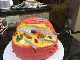 We did not find results for: How To Make An Edible Animal Cell Cake Grace Like Rain Blog