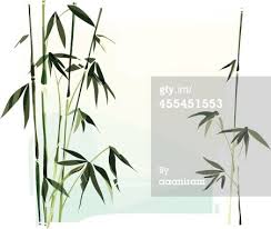 Illustration Of A Bamboo Bamboo And Background Are Grouped And Vector Art Bamboo Illustration
