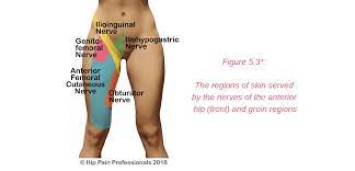 Groin area pain is often accompanied by lumbar spine pain or lumbar pain, with paroxysmal colic and microscopic hematuria, ureteral path tenderness. Groin Pain Structures And Conditions That Can Contribute To Groin Pain