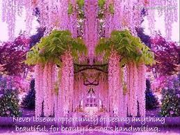 Inspirational Quotes Image Ralph Waldo Emerson Motivational Quotes Wisteria Garden Purple Wisteria Beautiful Flowers
