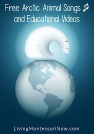 Free Arctic Animal Songs And Educational Videos Living Montessori Now