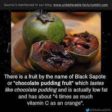 We did not find results for: Orrin Johnson Timeline Photos Facebook Ricette Frutta Esotica Frutta