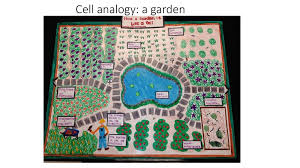 Check spelling or type a new query. Cell Analogy Project Use An Analogy To Create An Artistic Piece Of The Organelles In A Cell You May Use Either A Plant Or An Animal Cell Create A Chart Ppt
