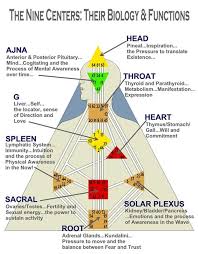 Find out your type and profile, understand how it affects your life! 53 Human Design Ideas Human Design Human Design System Human