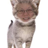 The Artful Teapot by Garth Clark