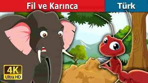 Fil Ve Karinca Hikayesi Kitap Evi