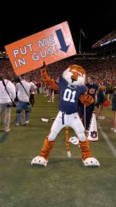 Pin By Boo Phillips On It S Great To Be An Auburn Tiger Auburn Tigers Football Auburn Football War Eagle Auburn