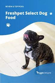 Freshpet Select Dog Food Review February 2021 Recalls Pros Cons Doggie Designer Dog Food Recipes Best Dog Food Dog Food Reviews