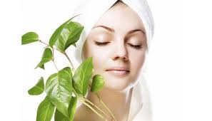 A few other tips for hair care routine split ends can make your hair dull, dry, and damaged. Simple Skin Hair And Health Care Tips For Monsoon Safety Measures