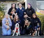 The Shelter: Animal SOS - Series 4 - DSPCA