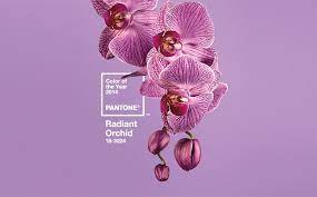Pantone Color Of The Year 2014 Radiant Orchid 18 3224 Orchid Color Pantone Pantone Color