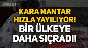 Bu nedenle binlerce hastanın enfeksiyonun beyne sıçramasını önlemek amacıyla gözleri çıkarıldı. Tuihsowcju0ktm