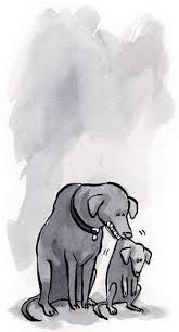 Elevate Web Design at the University Level