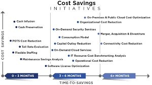 Cost Optimization Sirius