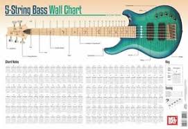 Details About 5 String Bass Guitar Wall Chart Learn To Play Arpeggiated 2 Octaves Chart Guide