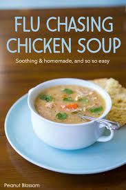 Homemade Chicken Soup For Flu Season Peanut Blossom