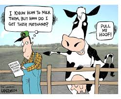 Cows And Methane That S A Lot Of Gas Funny Cartoons Jokes Funny Cartoons Cows Funny