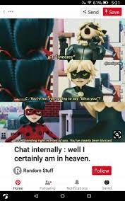 This Isnt One Of Those Crappy Jokes Its Acutally Funny Miraculous Ladybug Purrfect Jokes