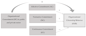 Sustainability Free Full Text The Relationship Between Organizational Commitment And Organizational Citizenship Behaviors In The Public And Private Sectors Html He made a commitment to stay at that job for another year. organizational citizenship behaviors